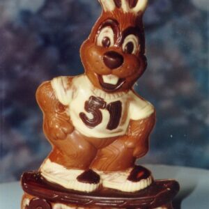 Hase auf Skateboard