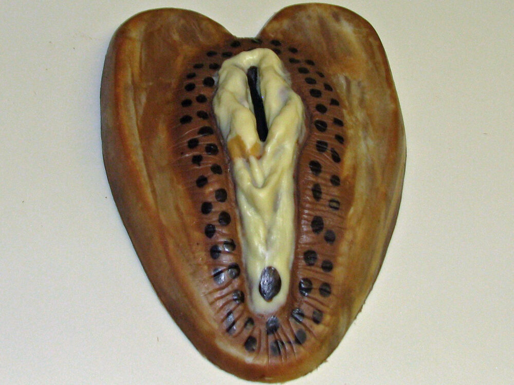 Schokoladen-Vagina