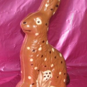 Hase sitzend